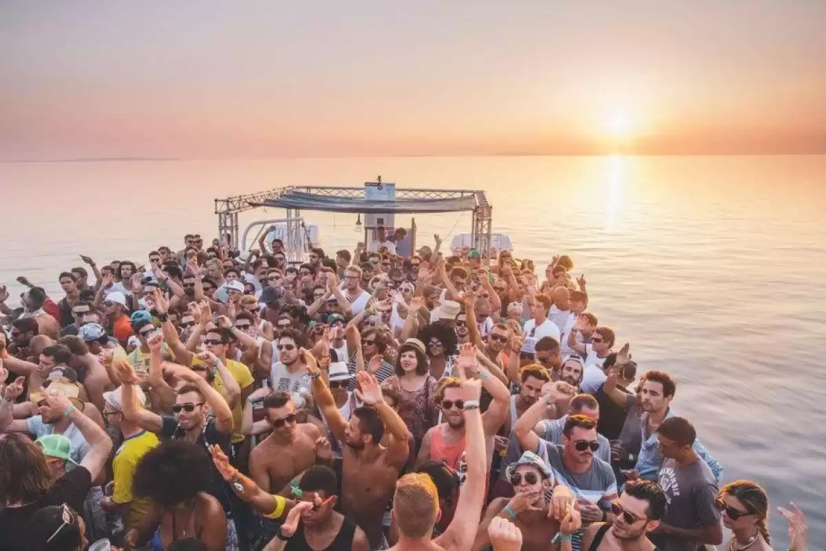 Suncebeat Festival Transfers